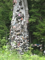 Old Shoe Tree